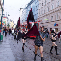 marching_order_experiment_1_040809_07