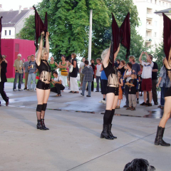 marching_order_experiment_1_040809_28